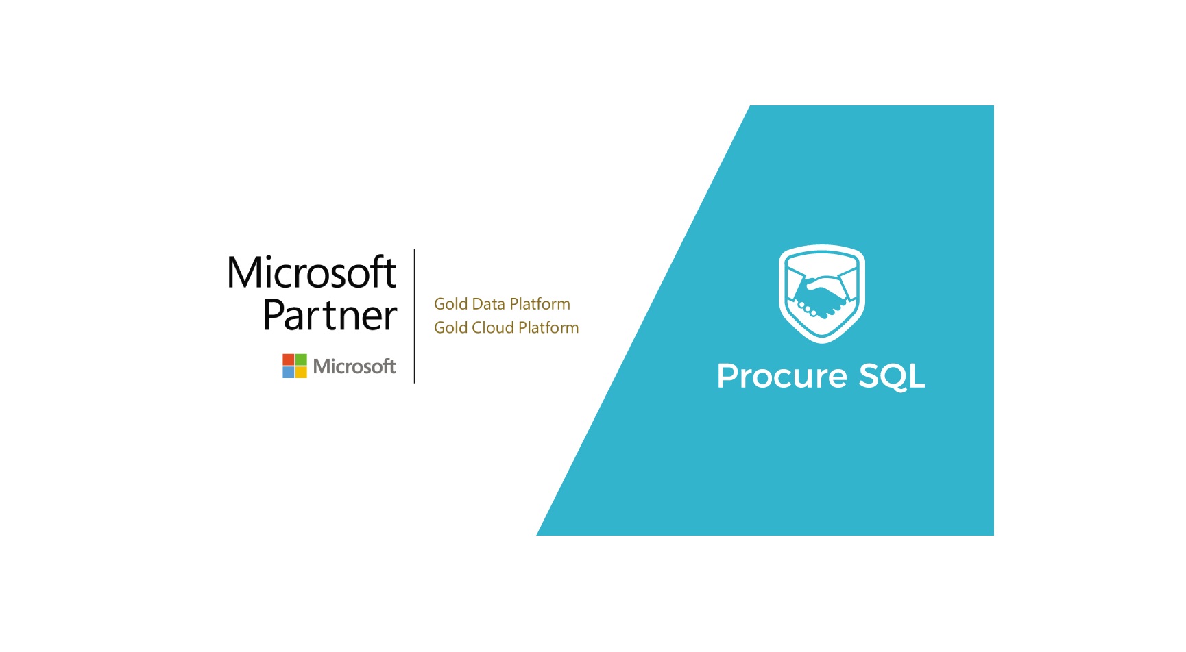 Procure Microsoft Gold Partner